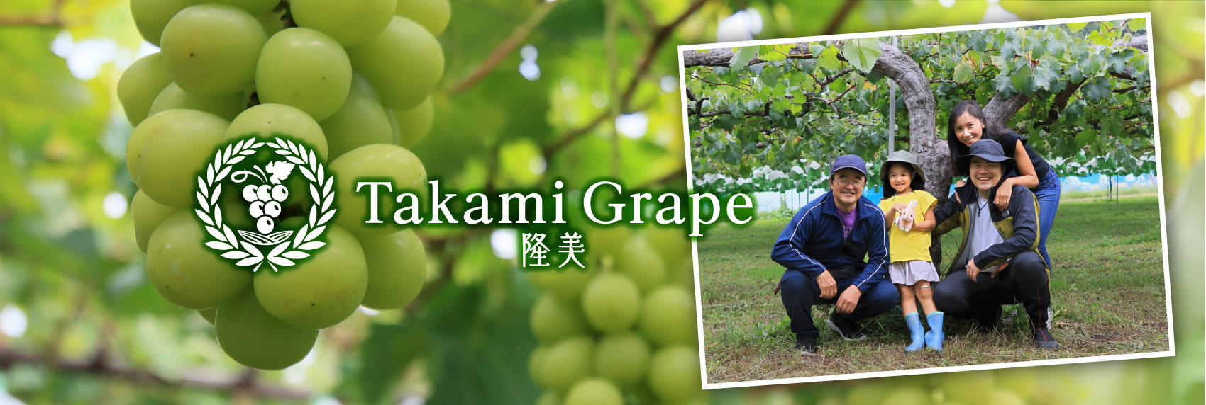 【公式】Takami Grape｜長野・武石の高級ぶどう農園｜“ただ、自然を写す”
