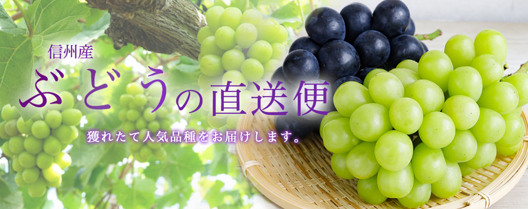 信州ぶどうのセット