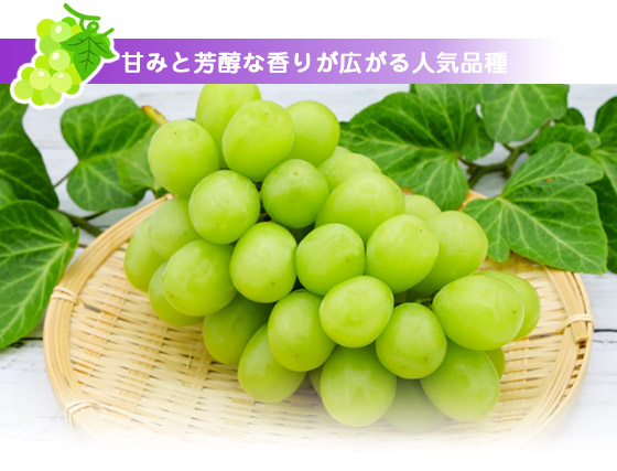 ぶどうのギフト