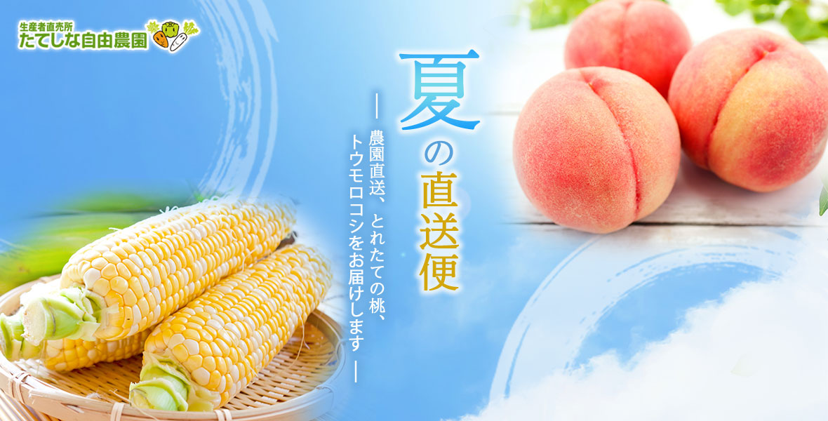 お中元ギフト